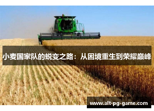 小麦国家队的蜕变之路：从困境重生到荣耀巅峰