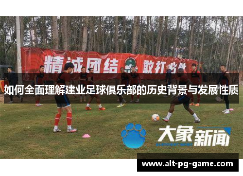 如何全面理解建业足球俱乐部的历史背景与发展性质