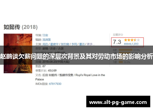 赵鹏谈欠薪问题的深层次背景及其对劳动市场的影响分析